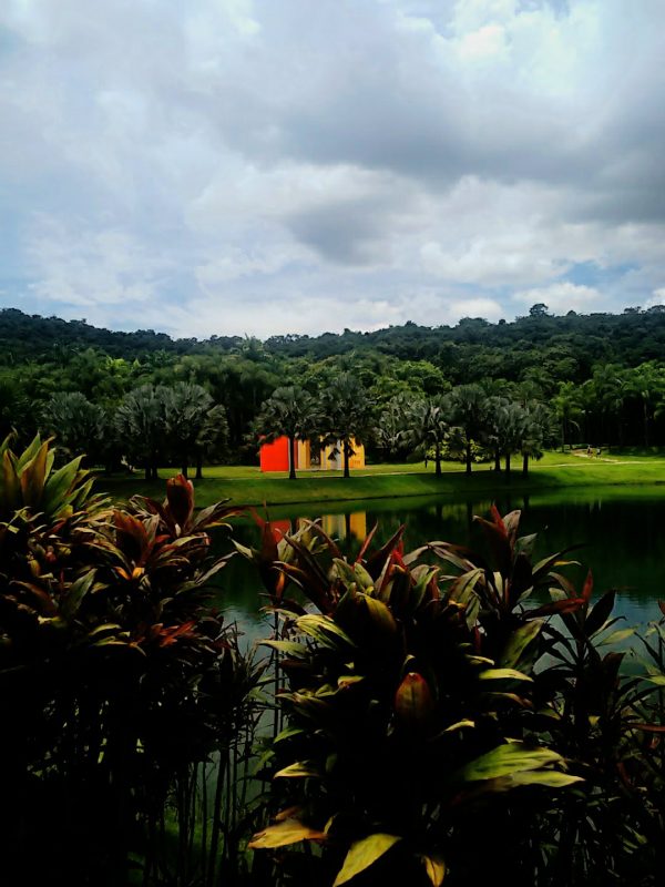 Instituto Inhotim Brumadinho Minas Gerais