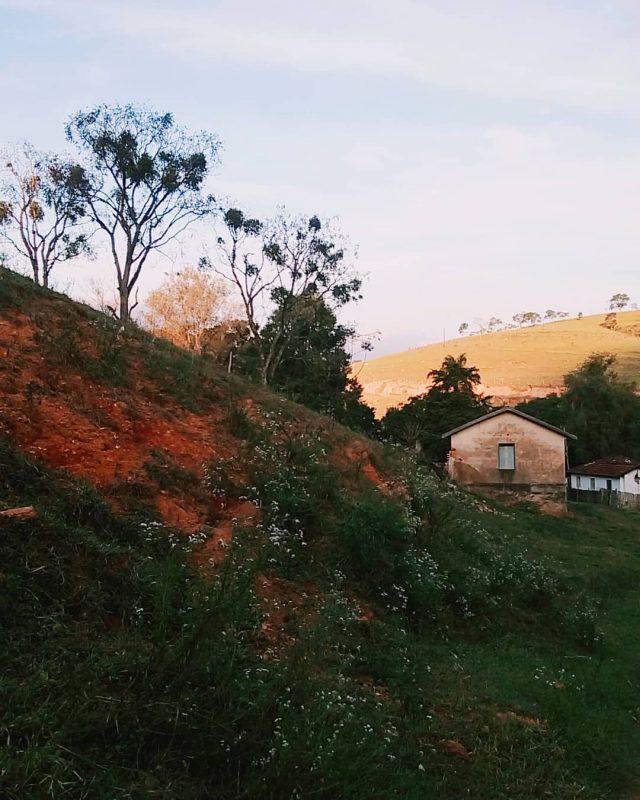 jacutinga minas gerais